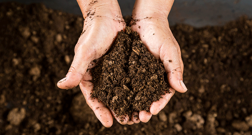 Explainer: What makes dirt different from soil